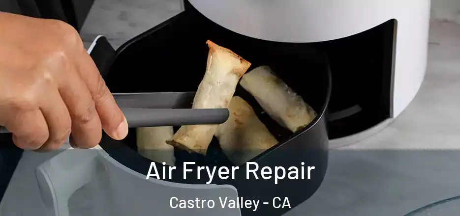 Air Fryer Repair Castro Valley - CA