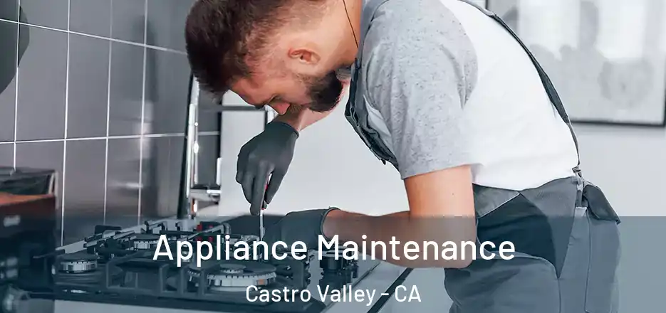 Appliance Maintenance Castro Valley - CA