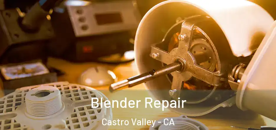 Blender Repair Castro Valley - CA