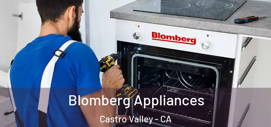 Blomberg Appliances Castro Valley - CA
