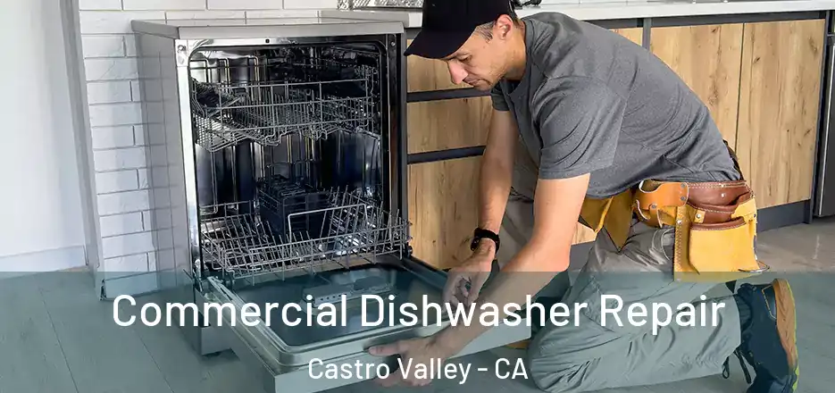 Commercial Dishwasher Repair Castro Valley - CA