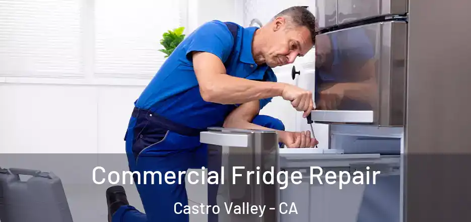 Commercial Fridge Repair Castro Valley - CA