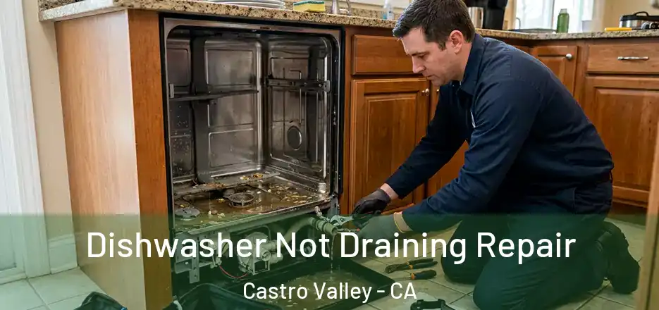 Dishwasher Not Draining Repair Castro Valley - CA
