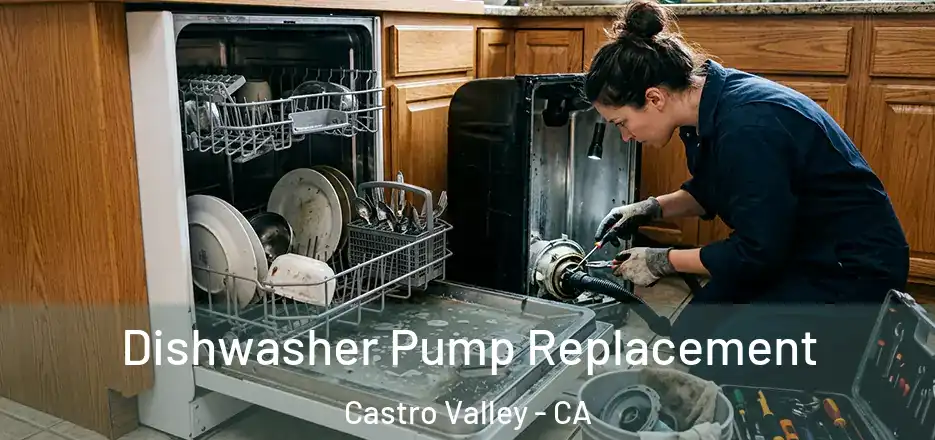 Dishwasher Pump Replacement Castro Valley - CA