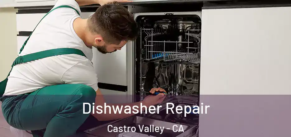 Dishwasher Repair Castro Valley - CA