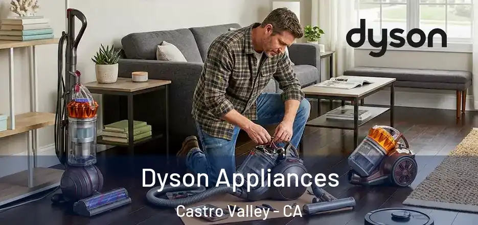 Dyson Appliances Castro Valley - CA