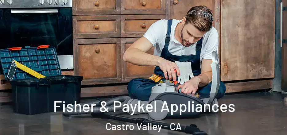Fisher & Paykel Appliances Castro Valley - CA