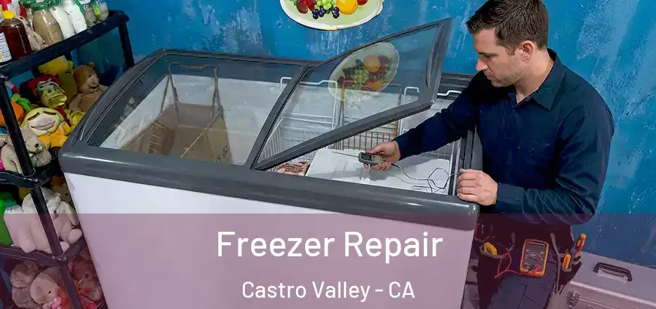 Freezer Repair Castro Valley - CA