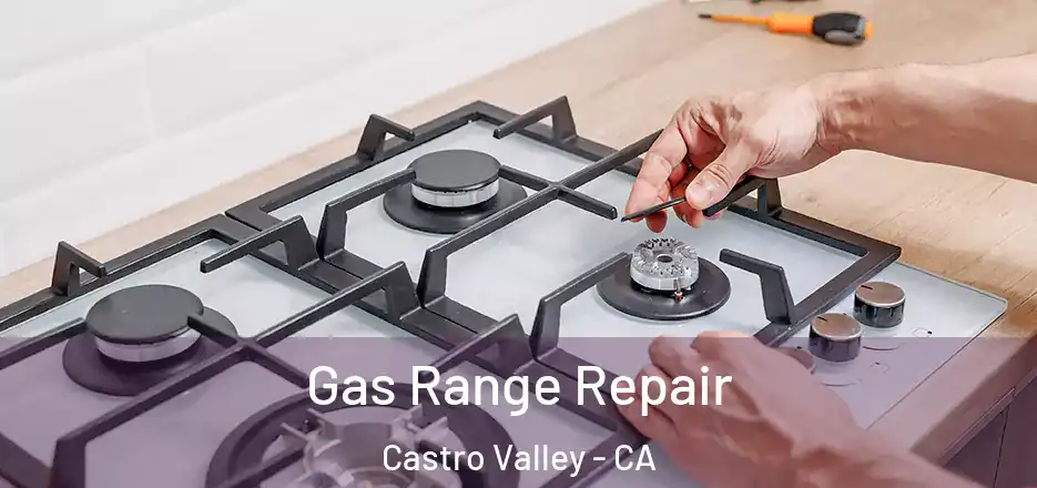 Gas Range Repair Castro Valley - CA