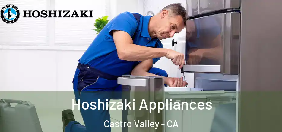Hoshizaki Appliances Castro Valley - CA