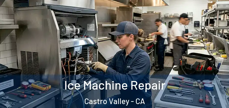 Ice Machine Repair Castro Valley - CA