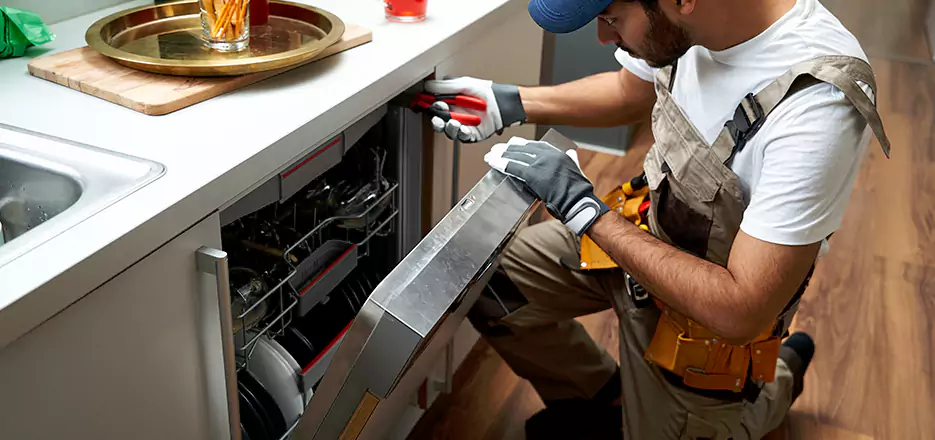 Same Day Dishwasher Not Draining Repair in Castro Valley