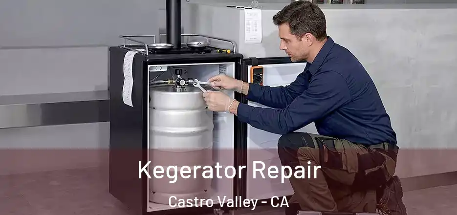 Kegerator Repair Castro Valley - CA