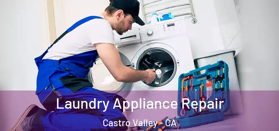 Laundry Appliance Repair Castro Valley - CA