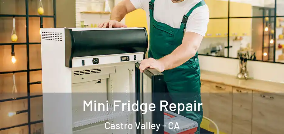 Mini Fridge Repair Castro Valley - CA