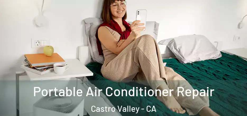 Portable Air Conditioner Repair Castro Valley - CA