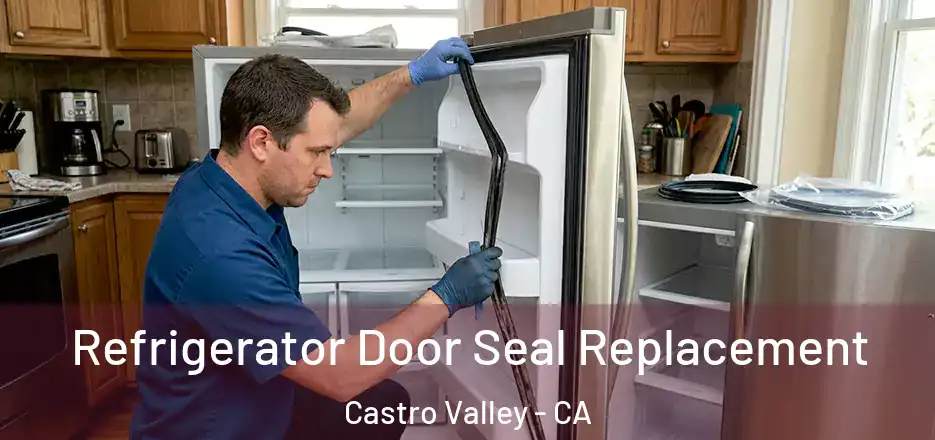 Refrigerator Door Seal Replacement Castro Valley - CA