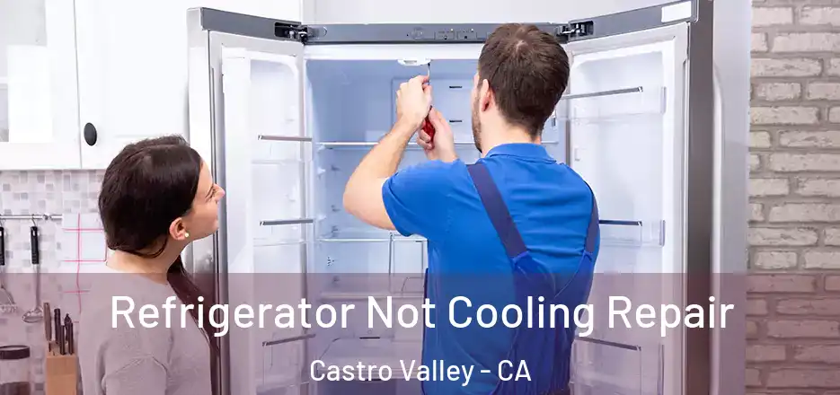 Refrigerator Not Cooling Repair Castro Valley - CA