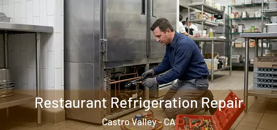 Restaurant Refrigeration Repair Castro Valley - CA