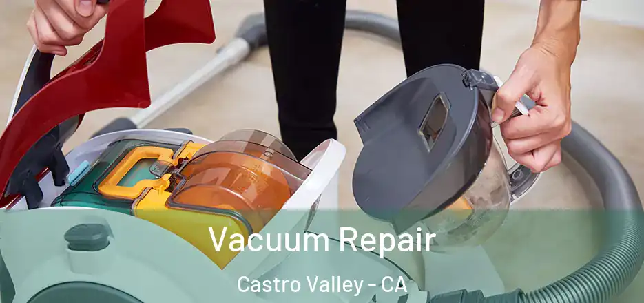 Vacuum Repair Castro Valley - CA