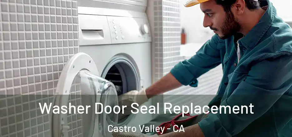 Washer Door Seal Replacement Castro Valley - CA