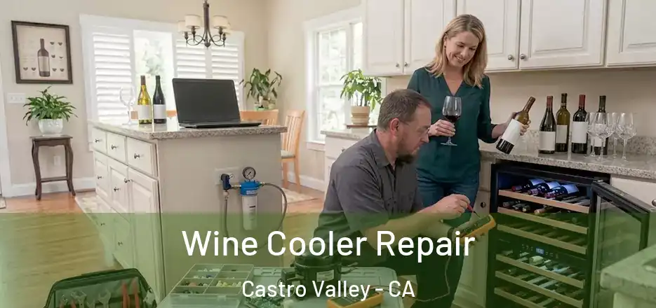 Wine Cooler Repair Castro Valley - CA